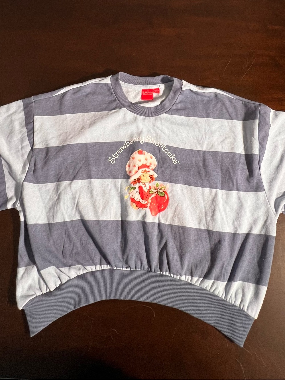 Strawberry Shortcake Ladies Blue Striped Cropped Graphic Fleece Size L
